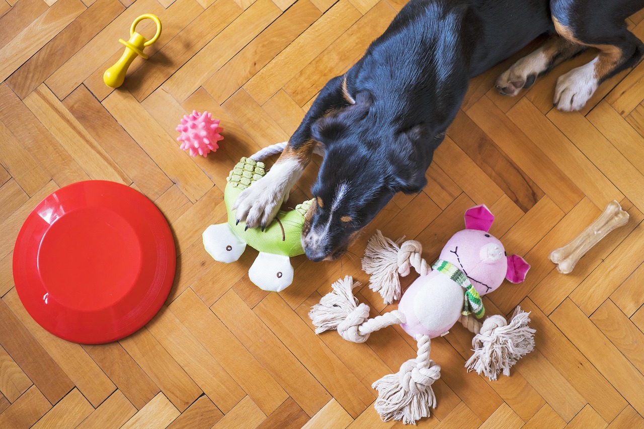 A dog lying on the floor surrounded by soft toys