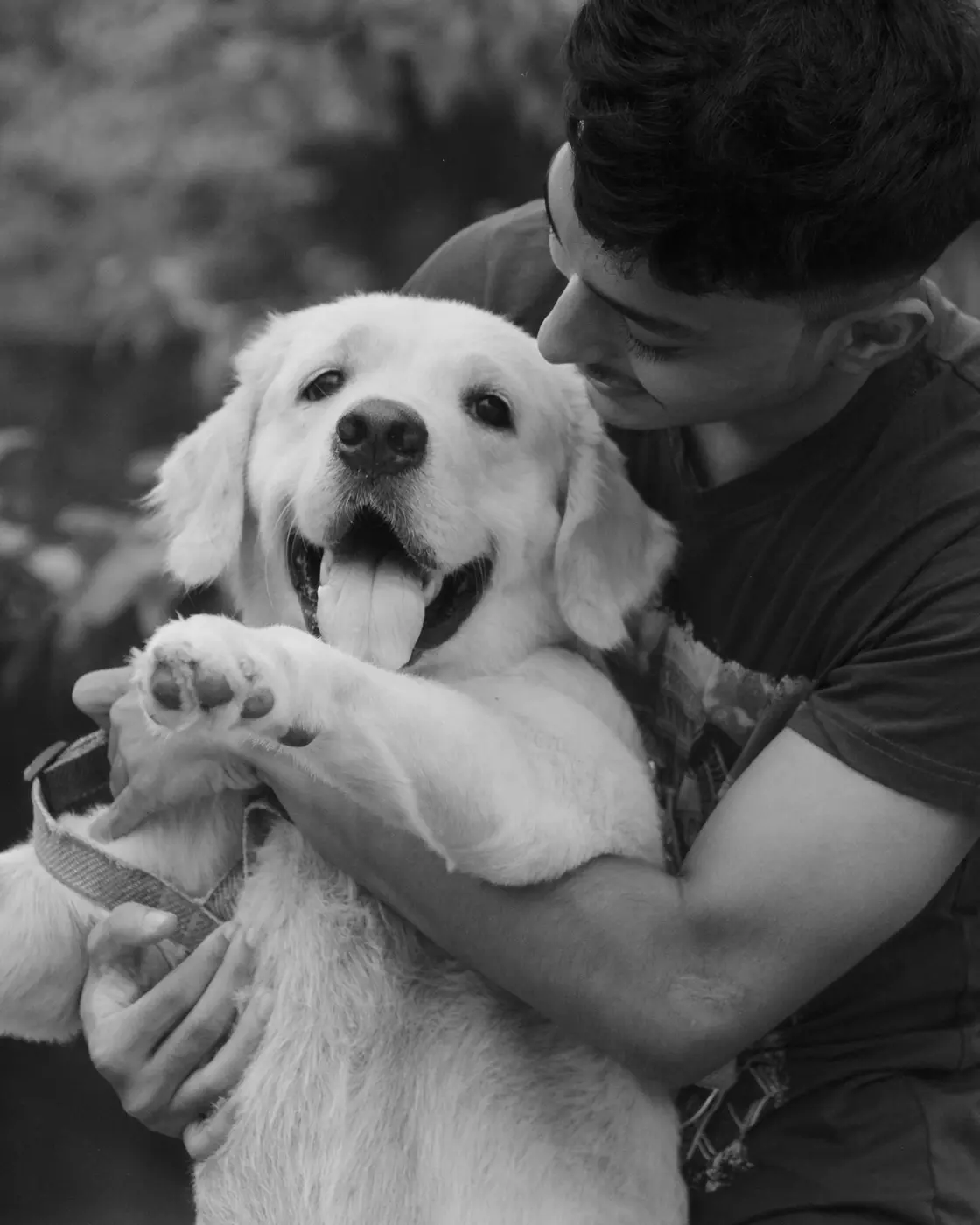 A happy dog being hugged by its owner